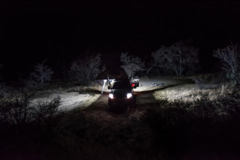C-Series C2 LED Flood Backup 1 Light KC HiLiTES